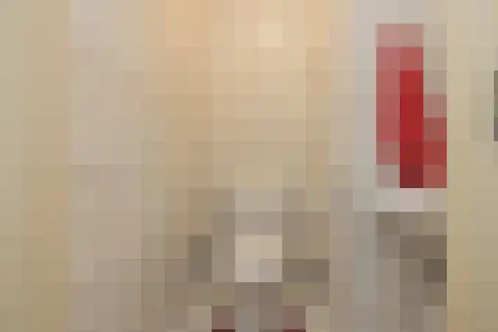 Achter Sint Aagten 22 Lisse thumbnail 33