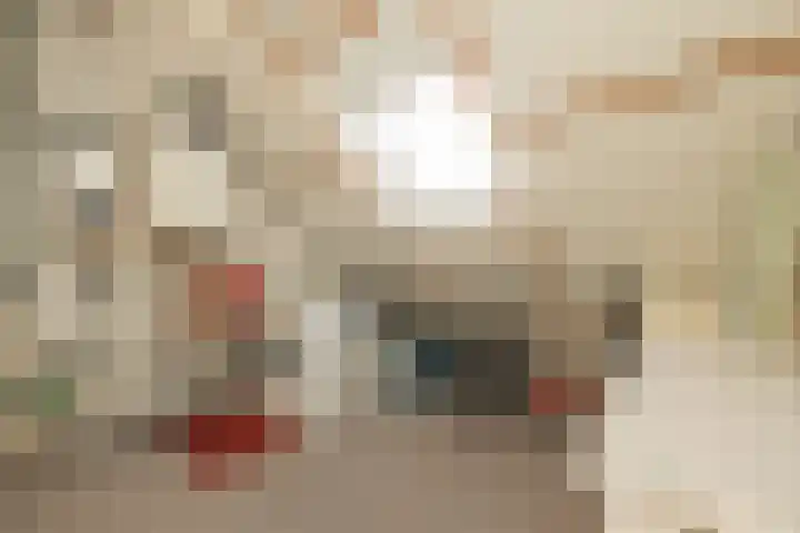 Achter Sint Aagten 22 Lisse thumbnail 35