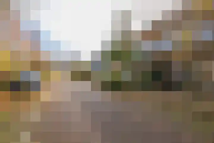 Achter Sint Aagten 22 Lisse thumbnail 39