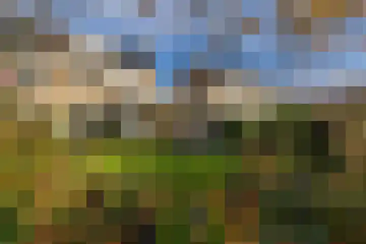 Achter Sint Aagten 22 Lisse thumbnail 4