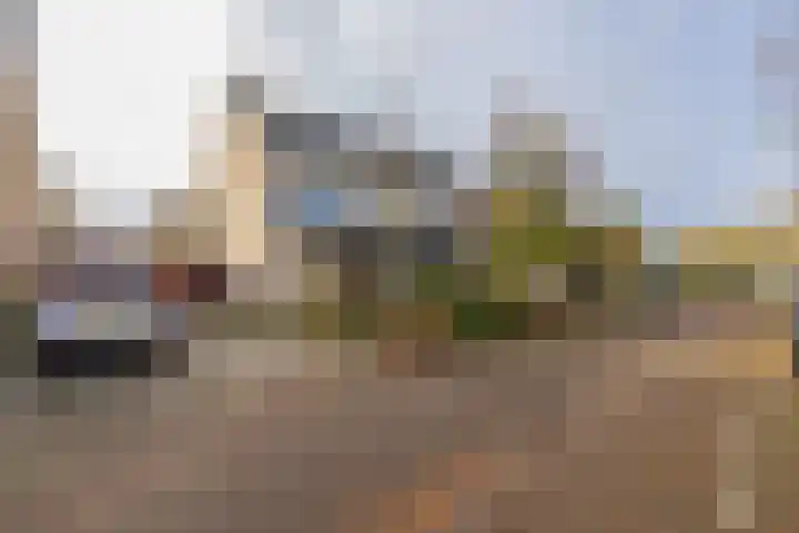 Achter Sint Aagten 22 Lisse thumbnail 40