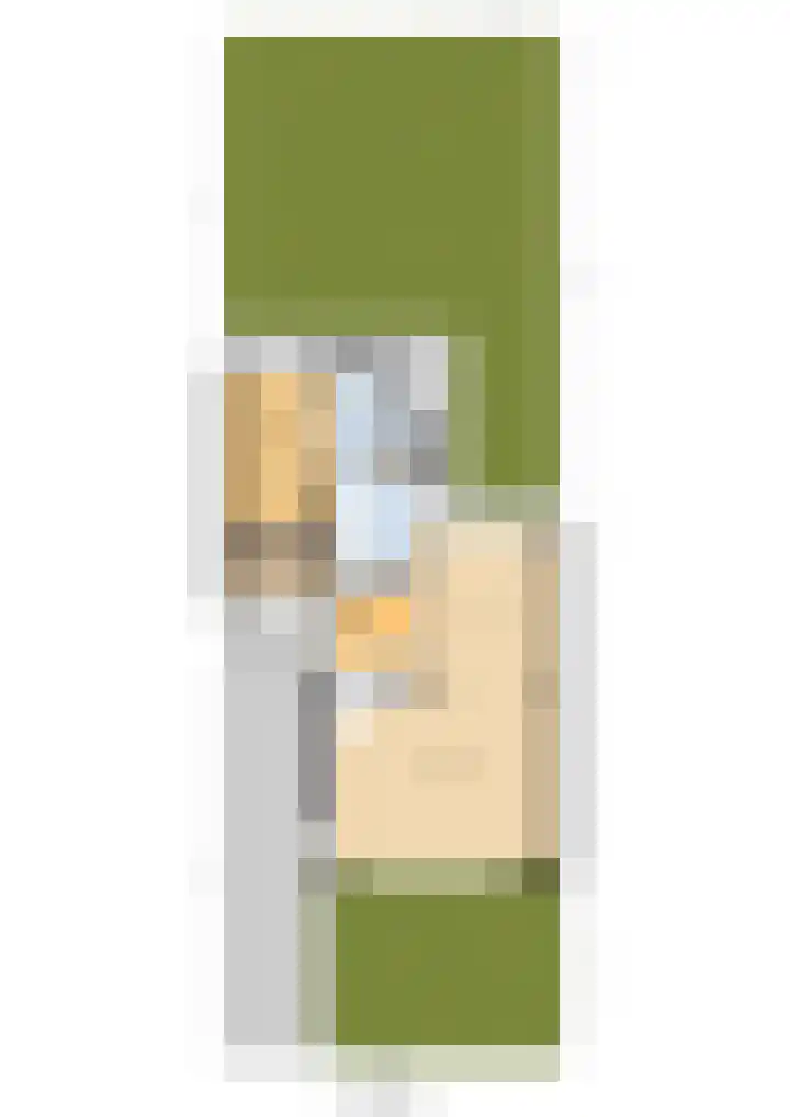 Achter Sint Aagten 22 Lisse thumbnail 41