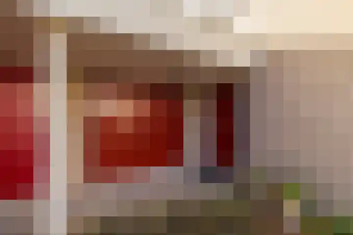 Achter Sint Aagten 22 Lisse thumbnail 6
