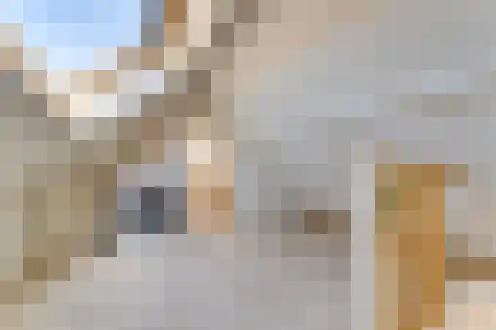 Achter Sint Annahof 12 Amersfoort thumbnail 22
