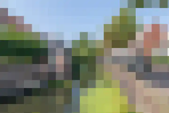 Achter Sint Annahof 14 Amersfoort thumbnail 36