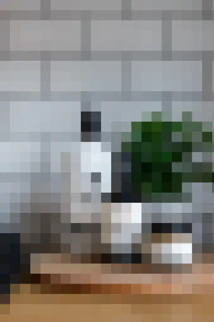 Achter St.-Pieter 4 D Utrecht thumbnail 15