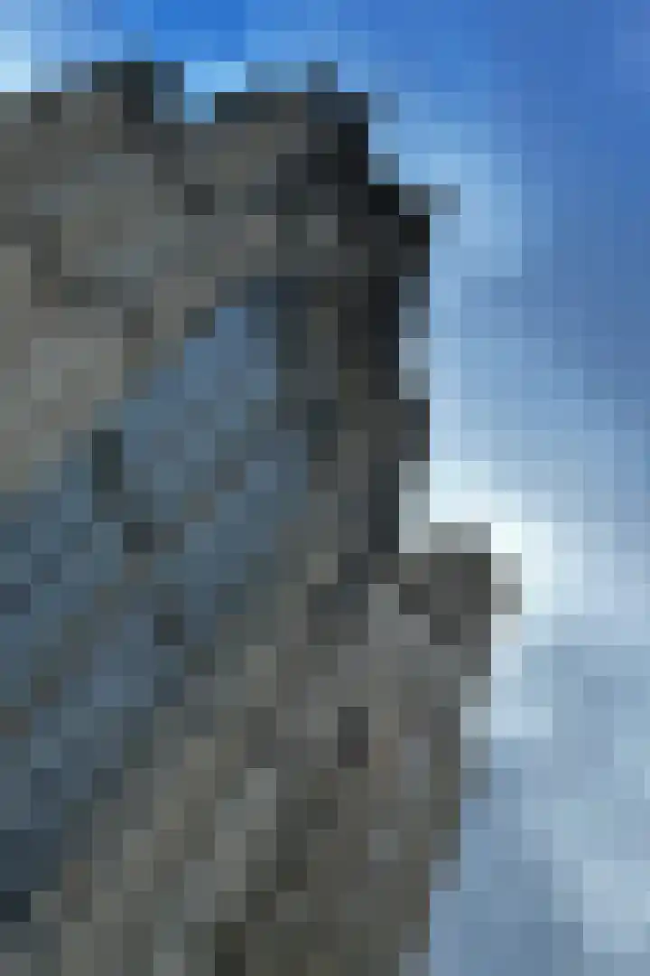 Achter St.-Pieter 4 D Utrecht thumbnail 32
