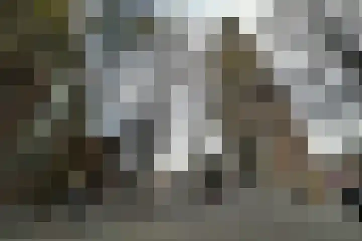 Achter St.-Pieter 4 D Utrecht thumbnail 33