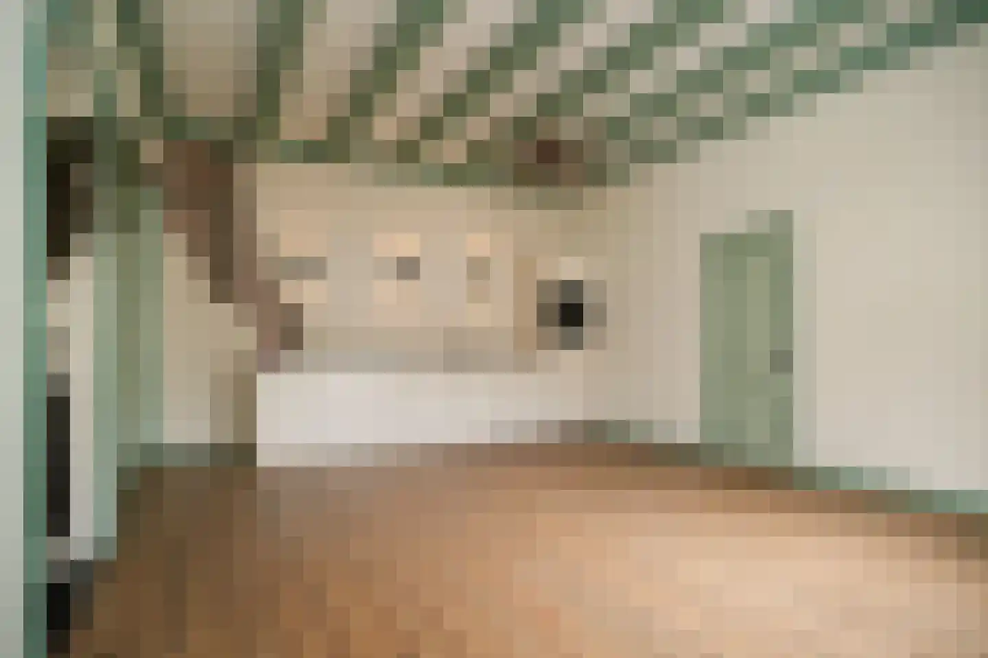 Achter St.-Pieter 4 Utrecht thumbnail 15