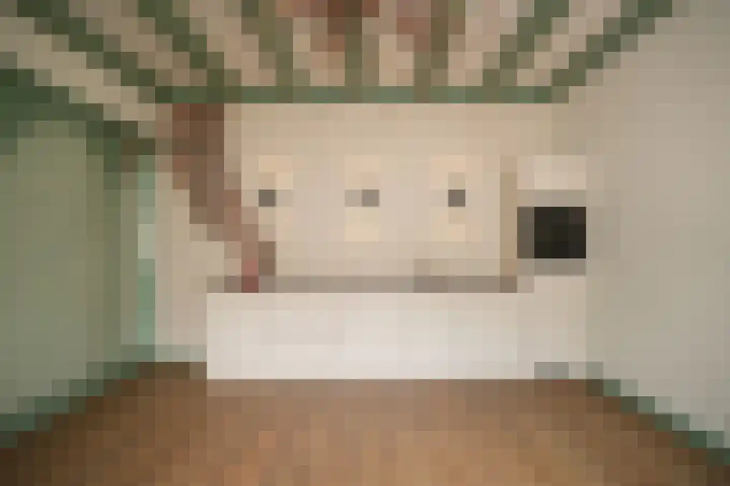 Achter St.-Pieter 4 Utrecht thumbnail 17