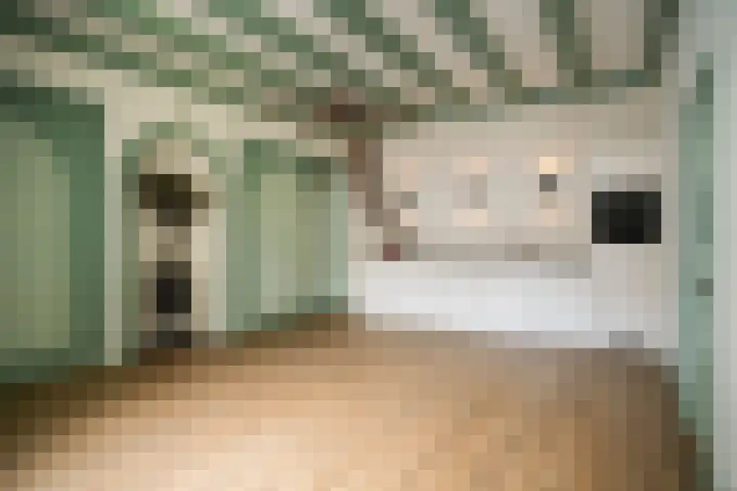 Achter St.-Pieter 4 Utrecht thumbnail 19