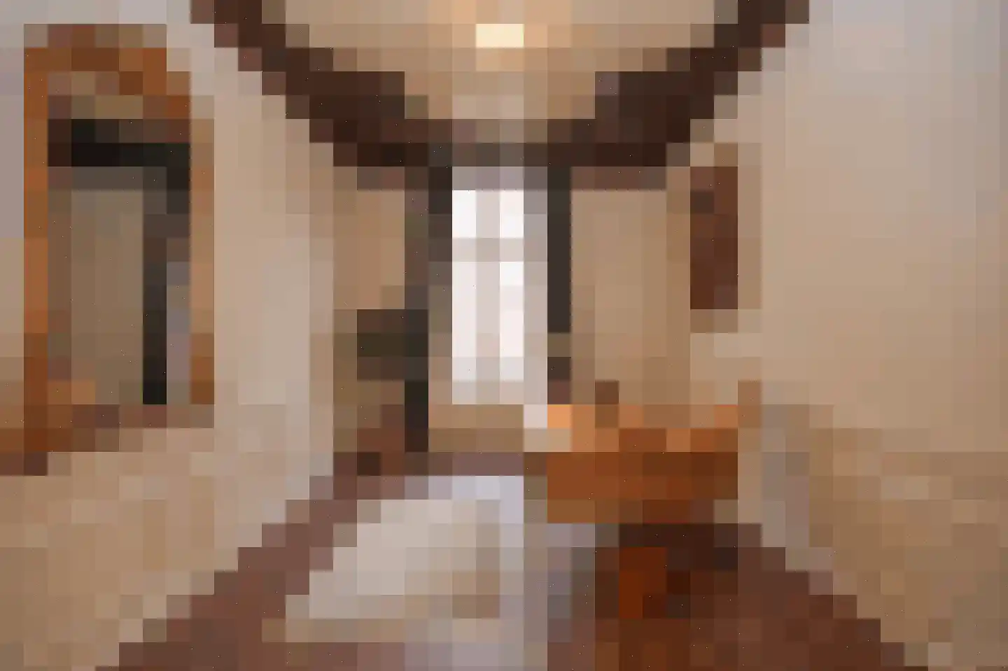 Achter St.-Pieter 4 Utrecht thumbnail 24