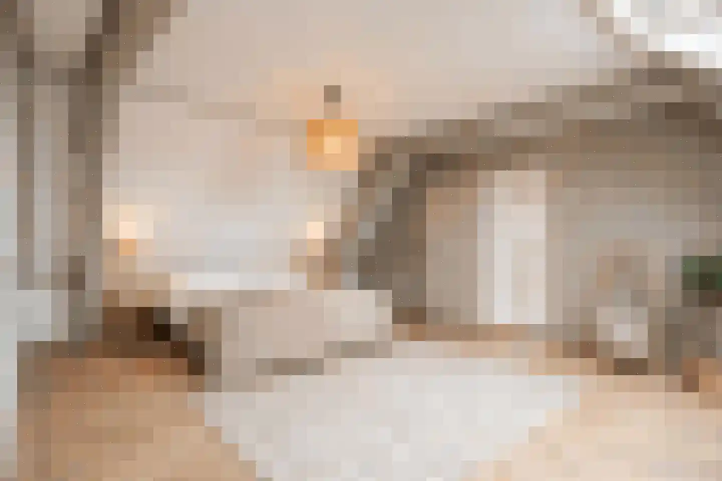 Achter St.-Pieter 4 Utrecht thumbnail 31
