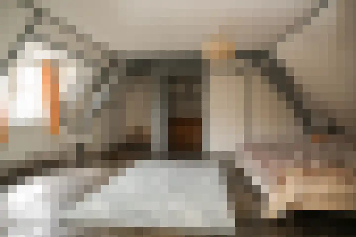 Achter St.-Pieter 4 Utrecht thumbnail 33