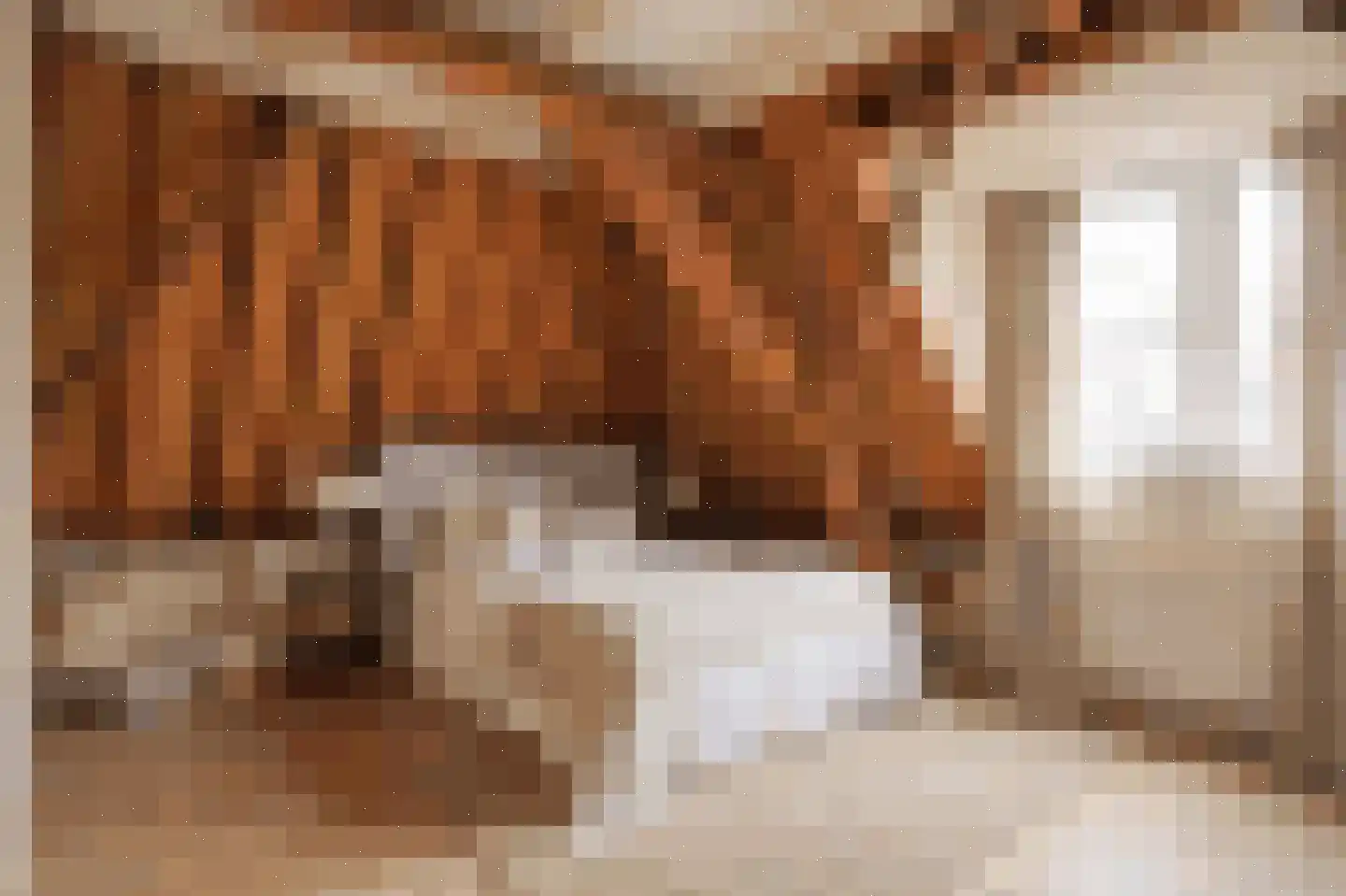 Achter St.-Pieter 4 Utrecht thumbnail 46