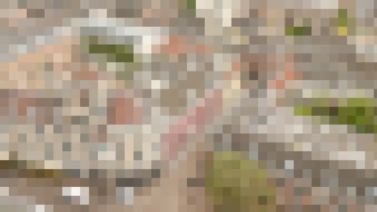 Achter St.-Pieter 4 Utrecht thumbnail 56