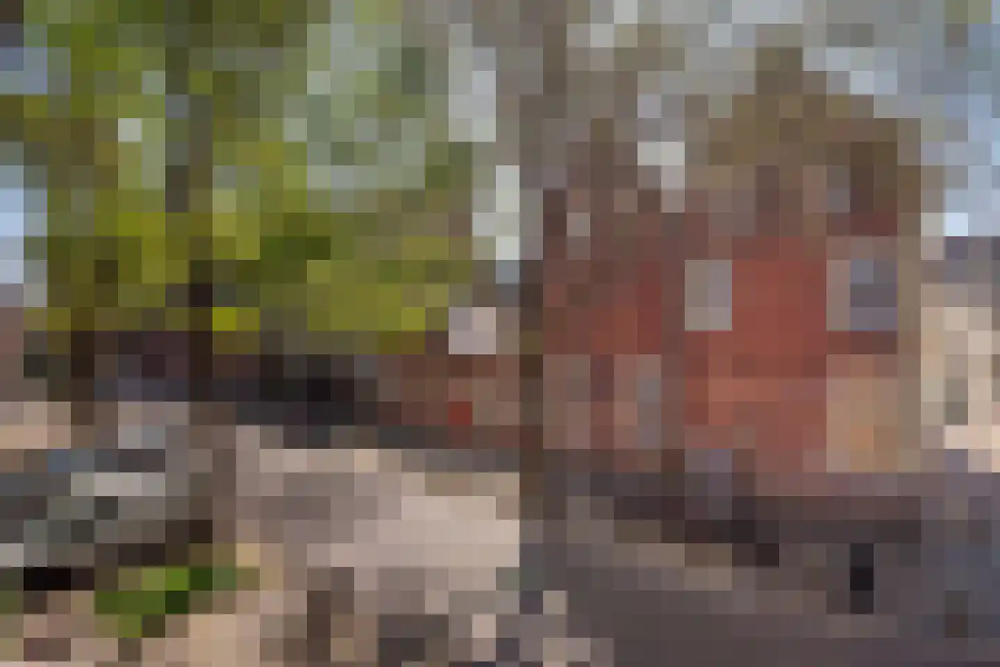 Achter St.-Pieter 94 Utrecht thumbnail 47