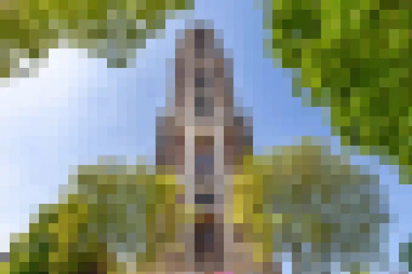 Achter St.-Pieter 94 Utrecht thumbnail 55