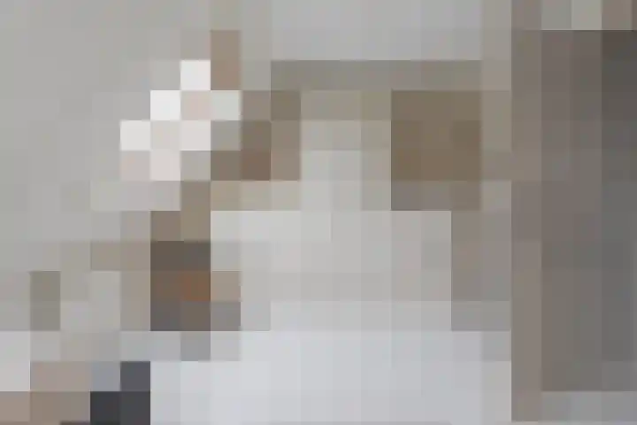 Achter 't Bos 10 Dirkshorn thumbnail 13