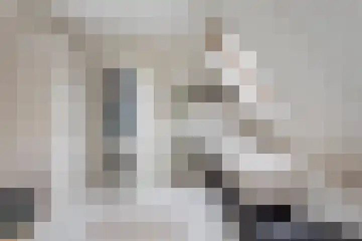 Achter 't Bos 10 Dirkshorn thumbnail 14