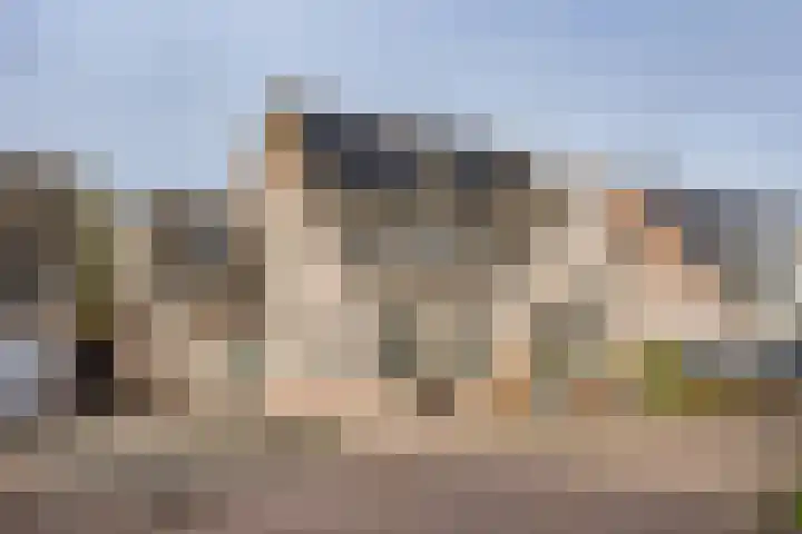 Achter 't Bos 10 Dirkshorn foto 2