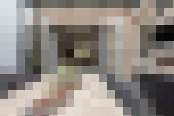 Achter 't Bos 10 Dirkshorn thumbnail 21