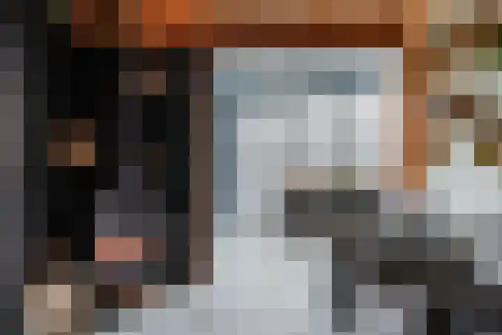 Achter 't Bos 10 Dirkshorn thumbnail 23