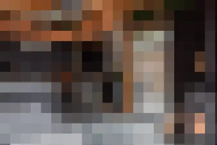 Achter 't Bos 10 Dirkshorn thumbnail 24