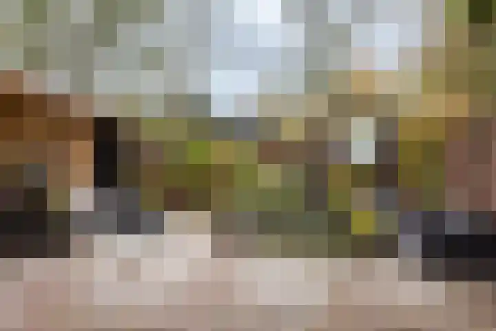 Achter 't Bos 10 Dirkshorn thumbnail 25