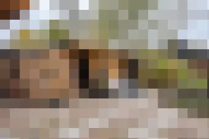 Achter 't Bos 10 Dirkshorn thumbnail 26