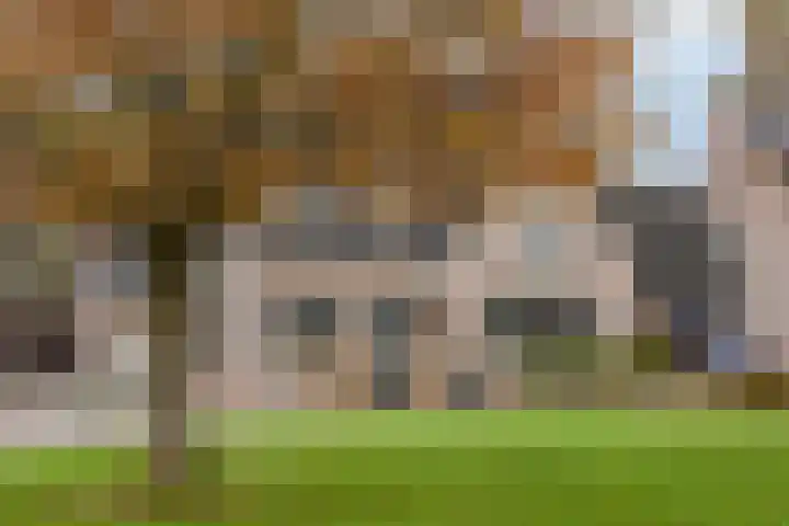 Achter 't Bos 10 Dirkshorn thumbnail 29