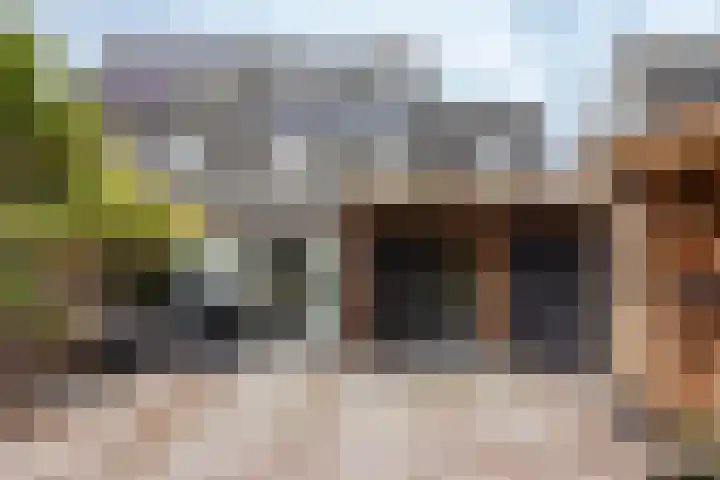 Achter 't Bos 10 Dirkshorn foto 3
