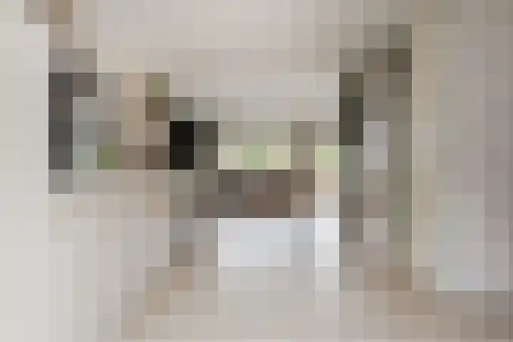 Achter 't Bos 10 Dirkshorn thumbnail 4