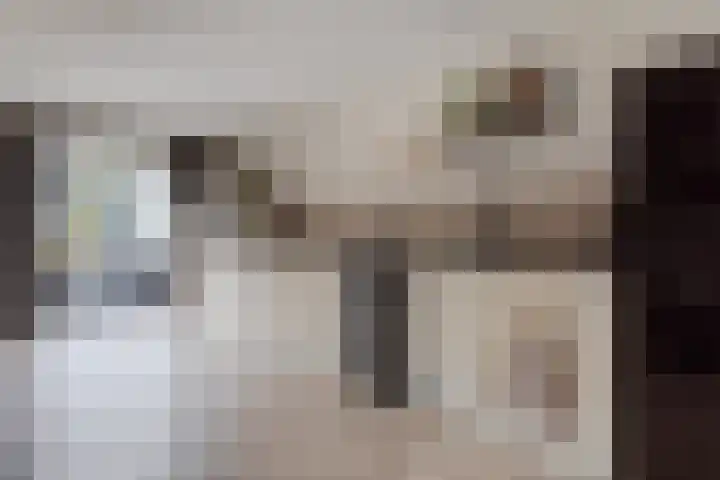 Achter 't Bos 10 Dirkshorn thumbnail 5