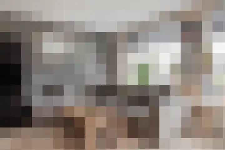 Achter 't Bos 10 Dirkshorn thumbnail 6