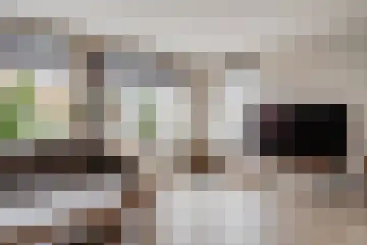 Achter 't Bos 10 Dirkshorn thumbnail 7