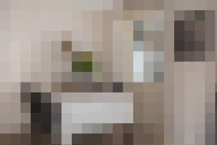 Achter 't Bos 10 Dirkshorn thumbnail 8