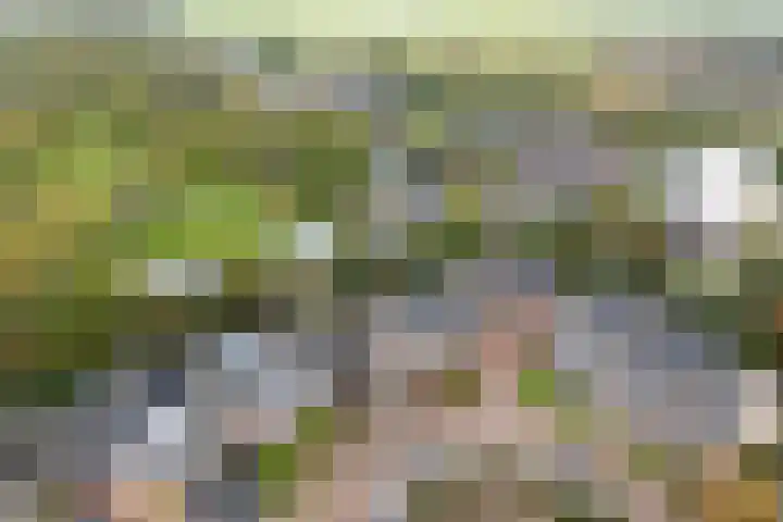 Achter 't Bos 17 Dirkshorn
