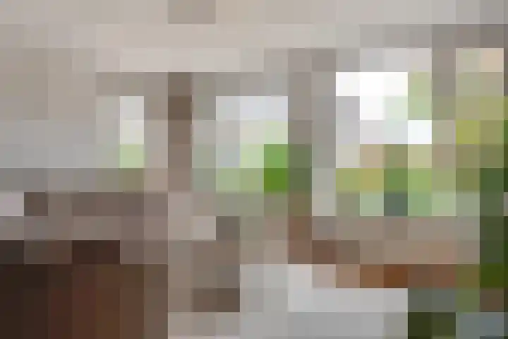 Achter 't Bos 17 Dirkshorn thumbnail 11