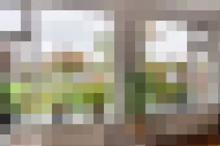 Achter 't Bos 17 Dirkshorn thumbnail 12