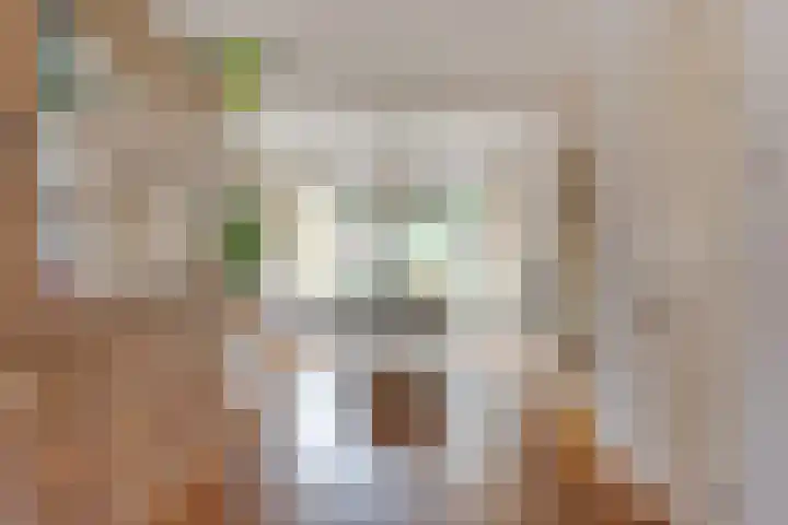 Achter 't Bos 17 Dirkshorn thumbnail 14