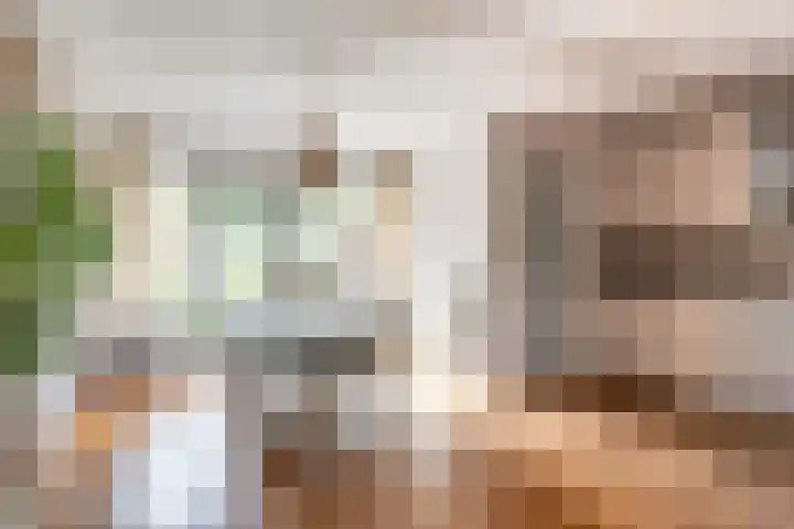 Achter 't Bos 17 Dirkshorn thumbnail 15
