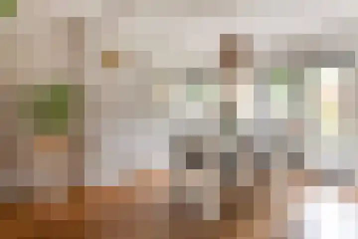 Achter 't Bos 17 Dirkshorn thumbnail 16