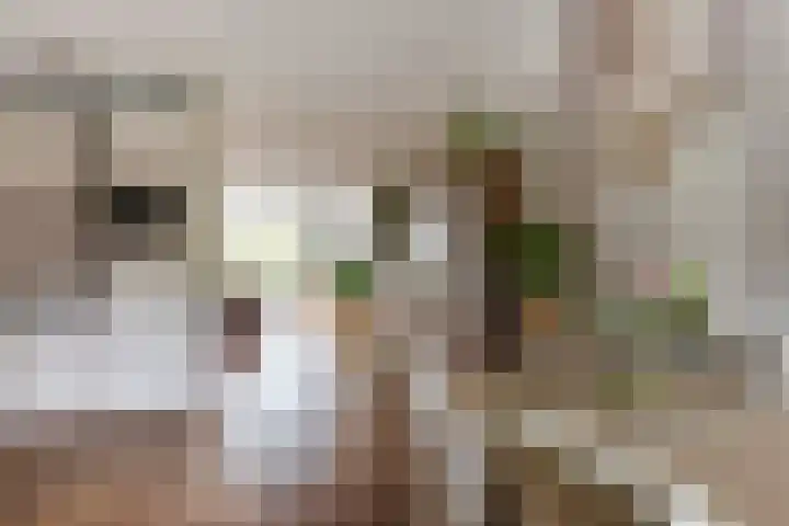 Achter 't Bos 17 Dirkshorn thumbnail 17