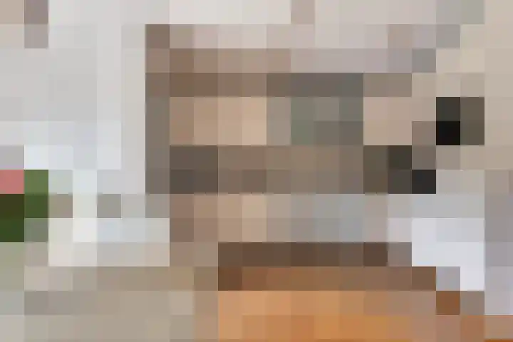Achter 't Bos 17 Dirkshorn thumbnail 19