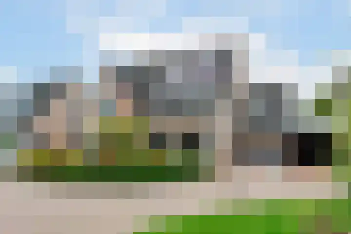 Achter 't Bos 17 Dirkshorn foto 2