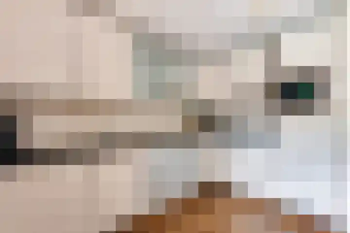 Achter 't Bos 17 Dirkshorn thumbnail 20