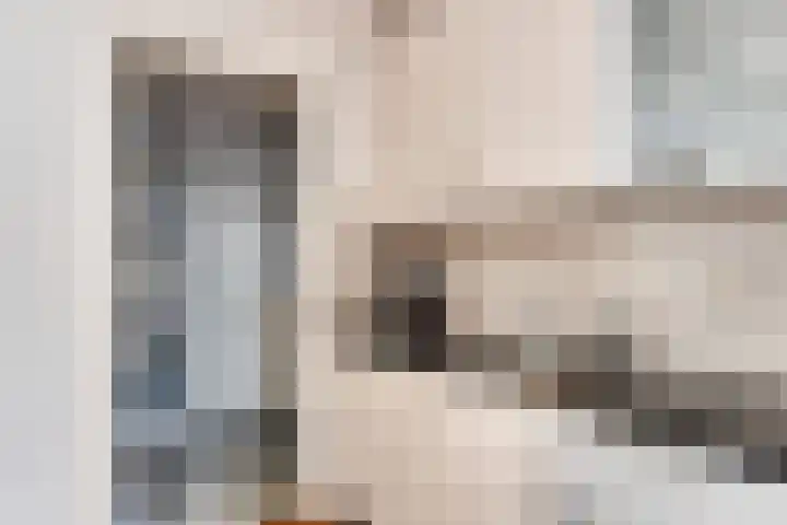 Achter 't Bos 17 Dirkshorn thumbnail 21