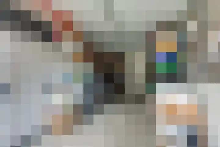 Achter 't Bos 17 Dirkshorn thumbnail 23