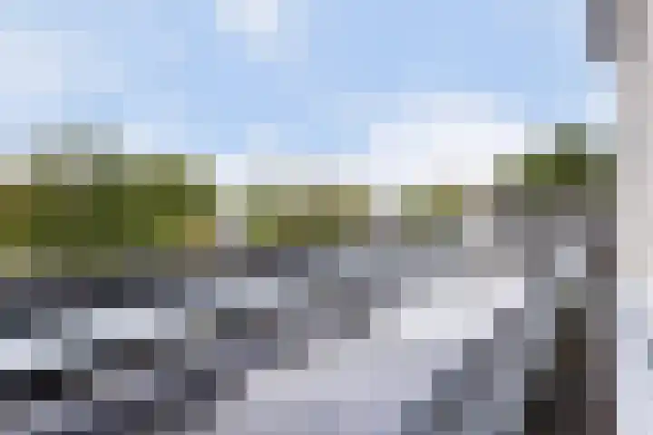Achter 't Bos 17 Dirkshorn thumbnail 36